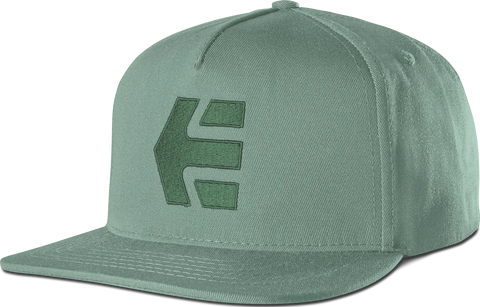 etnies icon snapback gorra