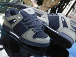 dvs celsius