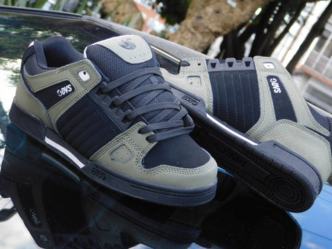 dvs celsius
