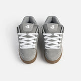 dvs celsius
