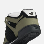 dvs celsius