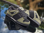 dvs celsius