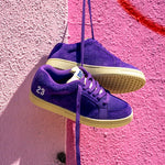 etnies slb 23