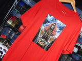DGK SANTO DE LA NOCHE