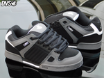 dvs celsius