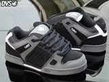 dvs celsius