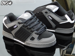 dvs celsius
