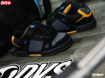 DVS celsius